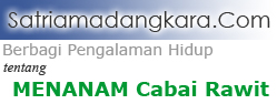 Halaman Depan
