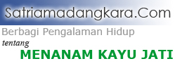 Halaman Depan